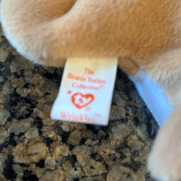 Ty Beanie Baby Wrinkles the Bulldog - Year 1996 - Picture 3 of 5